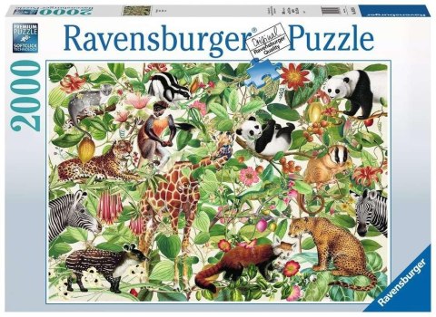 Puzzle 2000 Dżungla Puzzle 2000 Dżungla