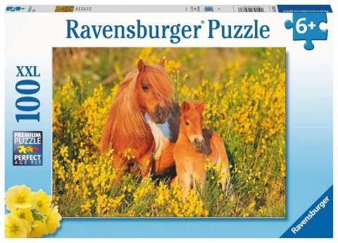 Puzzle XXL 100 Kucyki Puzzle XXL 100 Kucyki