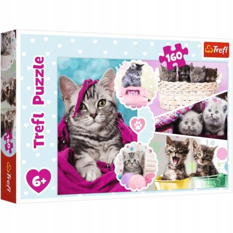 Puzzle Koty 160 elementów Urocze kotki Trefl 15371 Puzzle Koty 160 elementów Urocze kotki Trefl 15371