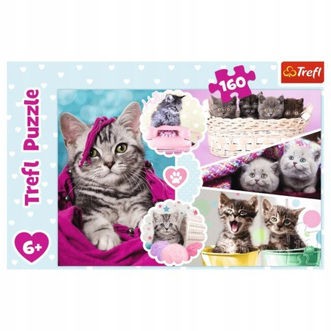 Puzzle Koty 160 elementów Urocze kotki Trefl 15371 Puzzle Koty 160 elementów Urocze kotki Trefl 15371