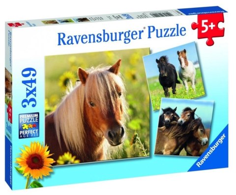 Puzzle 3x49 Konie Puzzle 3x49 Konie