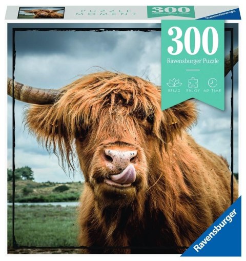 Puzzle Moment 300 Szkocka krowa Puzzle Moment 300 Szkocka krowa