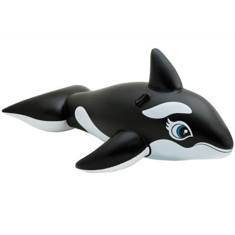 Orka do pływania Orka do pływania